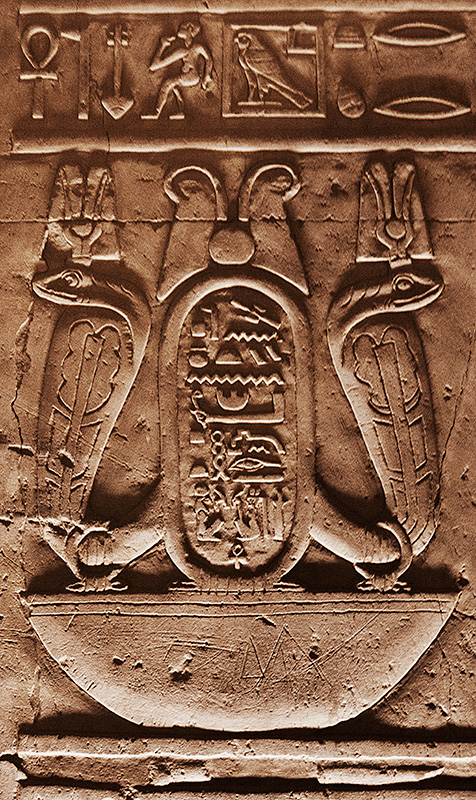 Snake Hieroglyphics